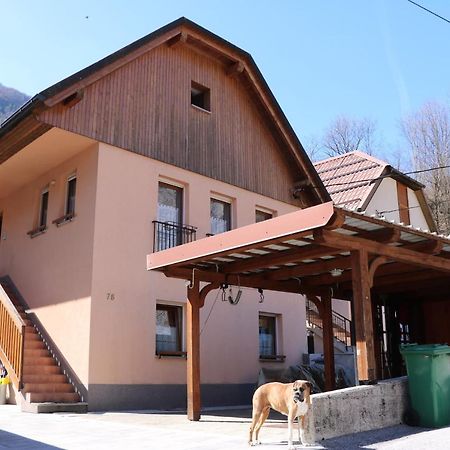 Apartma Na Vasi Apartment Zaga Exterior foto