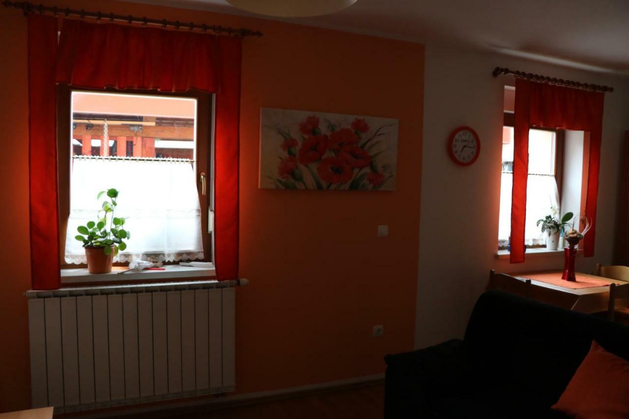 Apartma Na Vasi Apartment Zaga Exterior foto